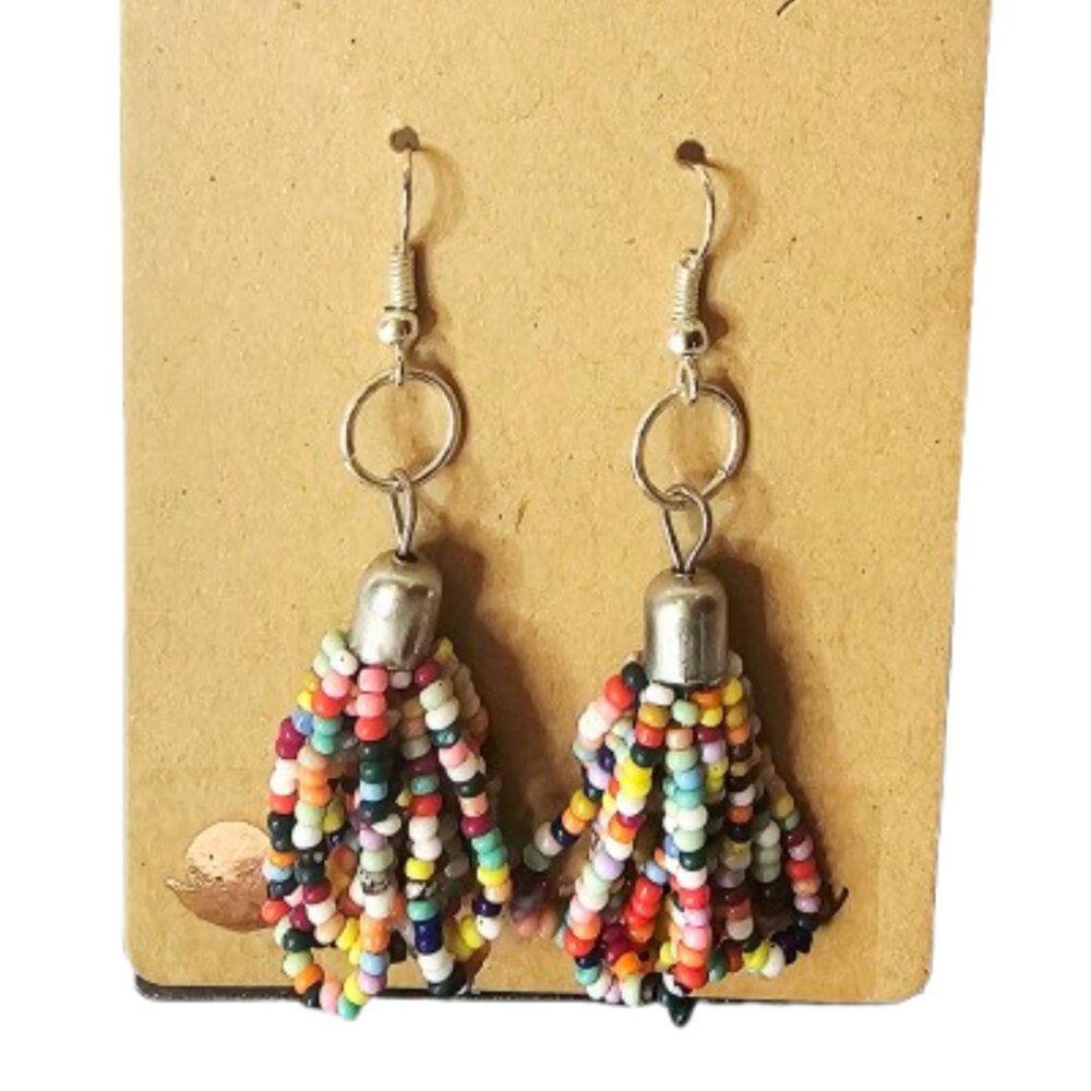 Colorful Seed Earrings-NWT- 2 inches